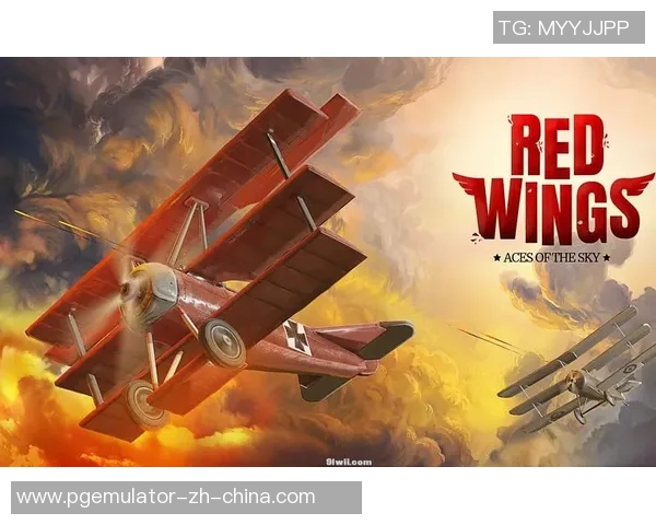 pg52000模拟器在线-关于 PG52000 模拟器的在线使用与体验-pg52000模拟器在线